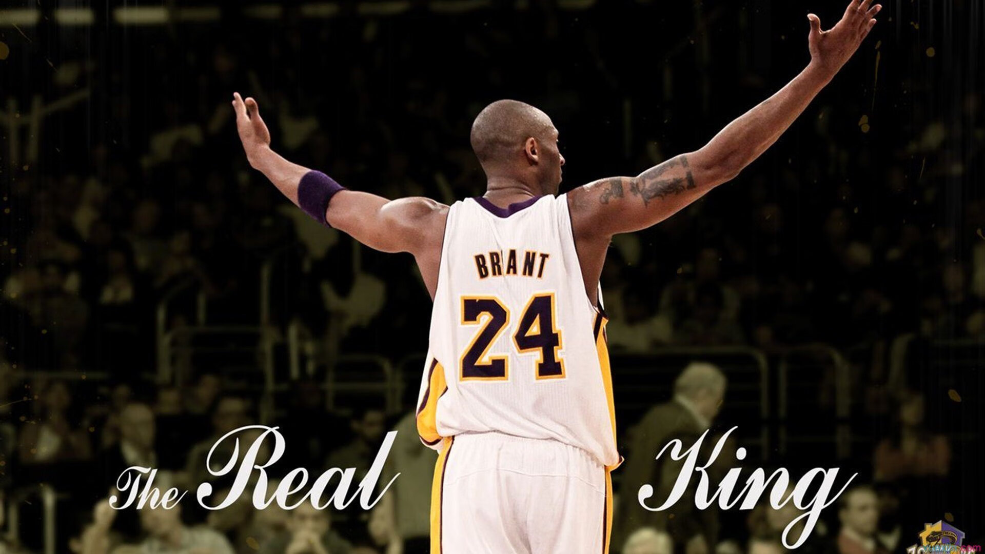 数字化训练系统助力青少年提升篮球技能，数字化体能训练